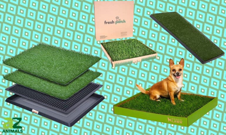 Grass Puppy Pads