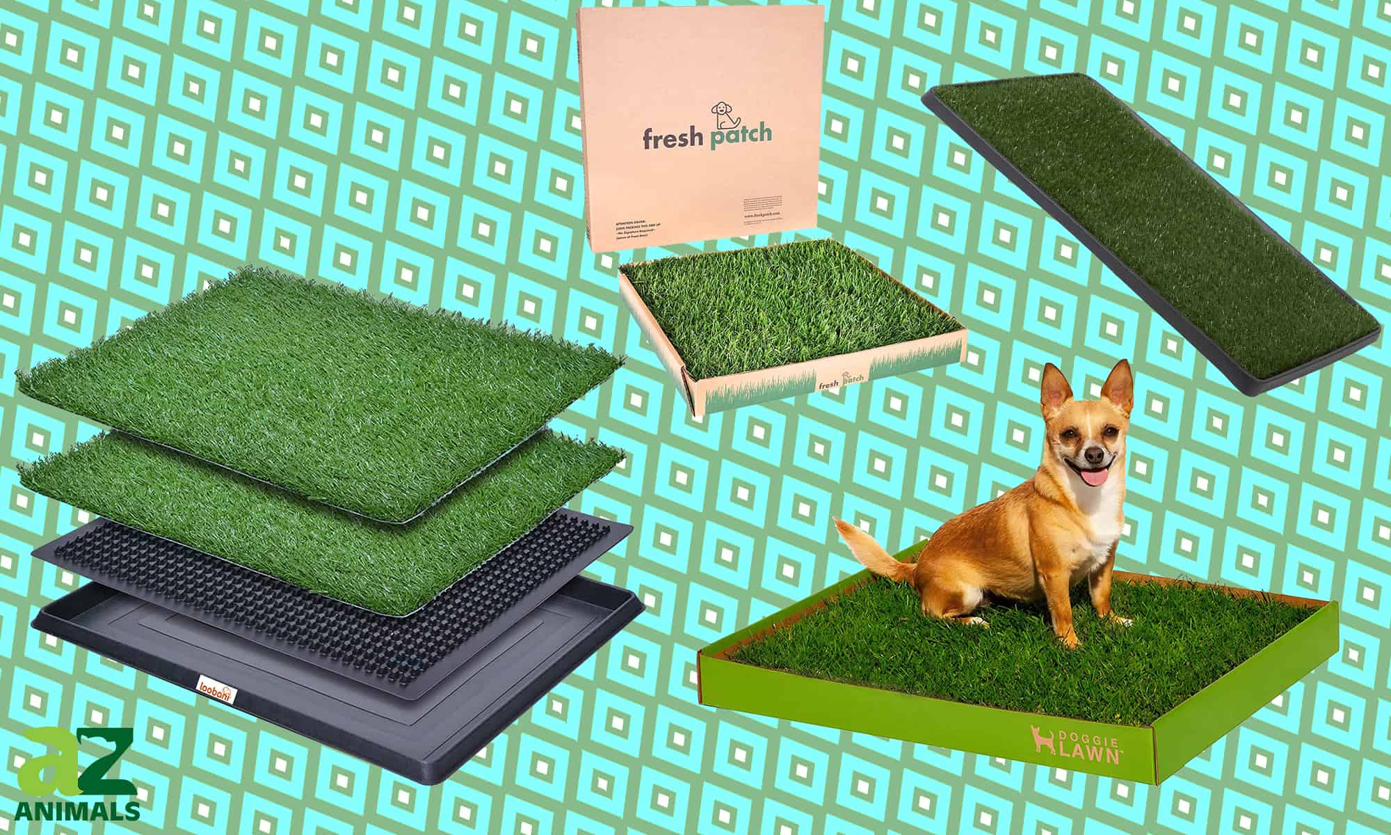 TSIANHUZY Dog Grass Pad 2-Pack Portable Grass Pee Pads for Dogs Washable Professional Dog Grass Mat Training Grass Pee Pad for Indoor Outdoor Porches Apartments and Grass Turf Mat Replacement 