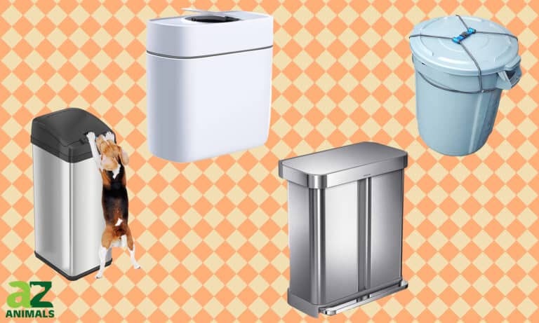 Dog Proof Trash Cans