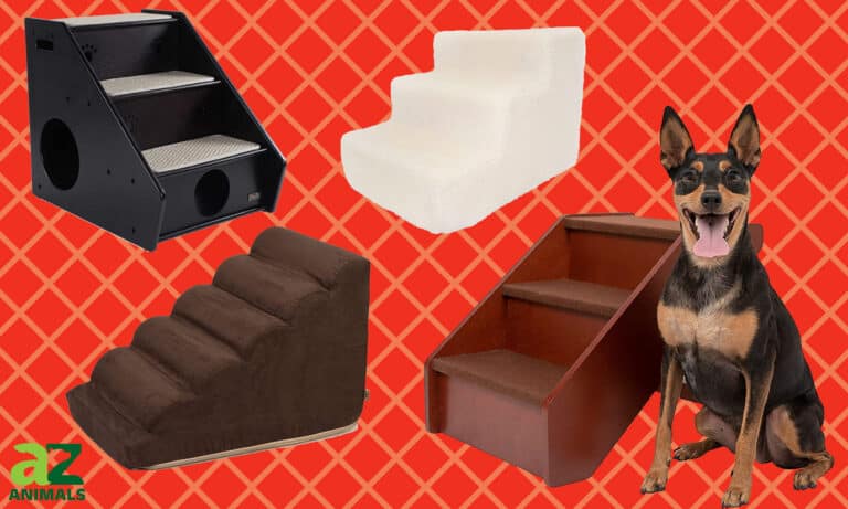 Pet Stairs for Bed