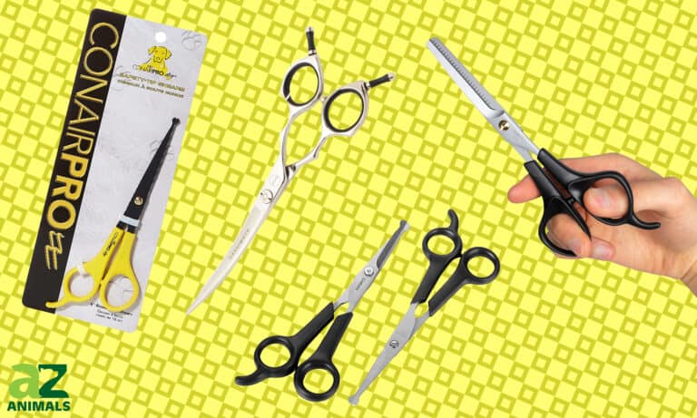 Dog Grooming Shears