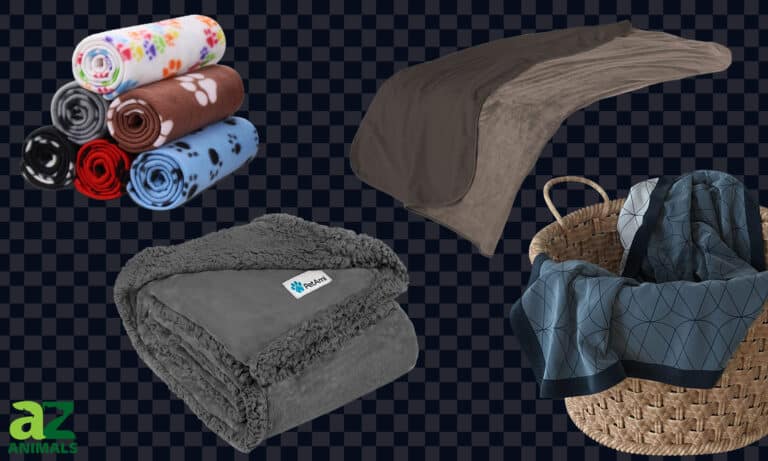 Waterproof Pet Blanket