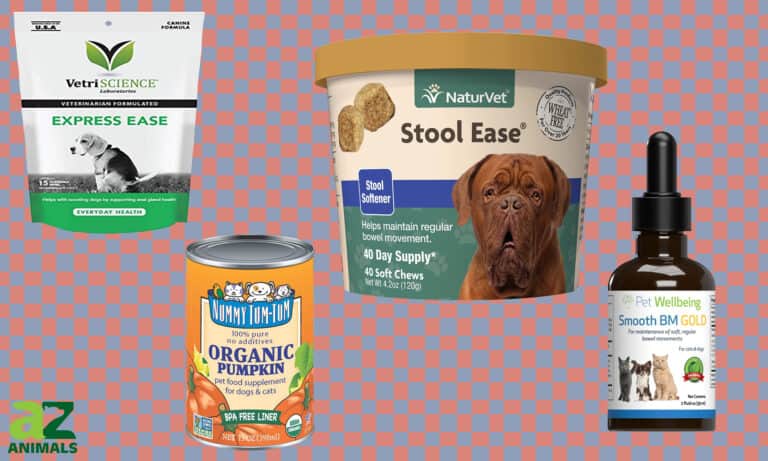 Stool Softener for Dogs