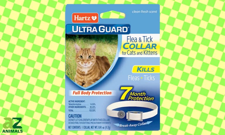 Seresto Flea & Tick Collar for Cats & Kittens