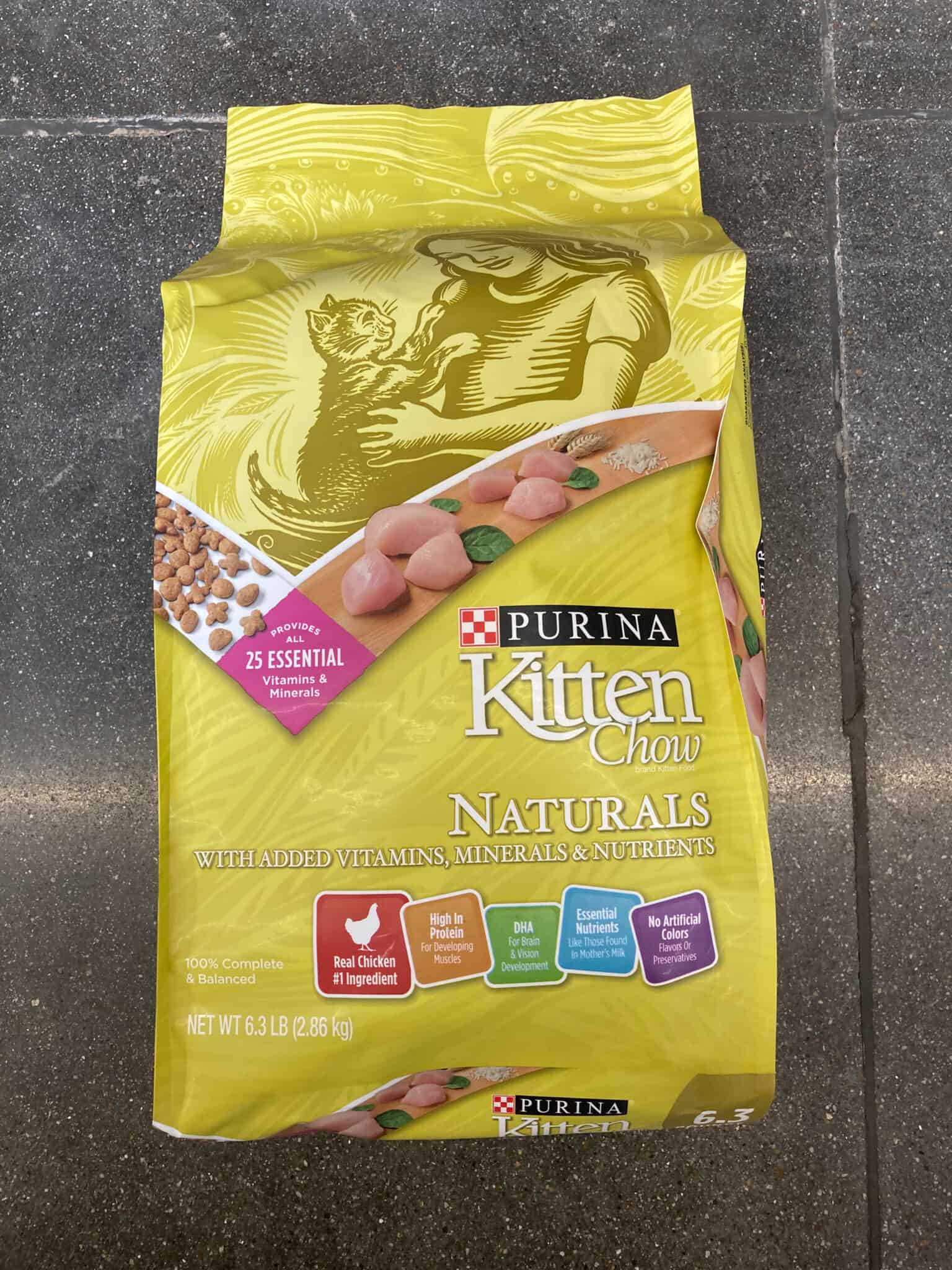 The Best High Fiber Cat Food for a Healthy Gut AZ Animals