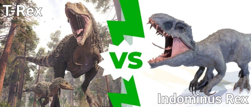 The Indominus Rex: How it Compares to Real Dinosaurs - A-Z Animals