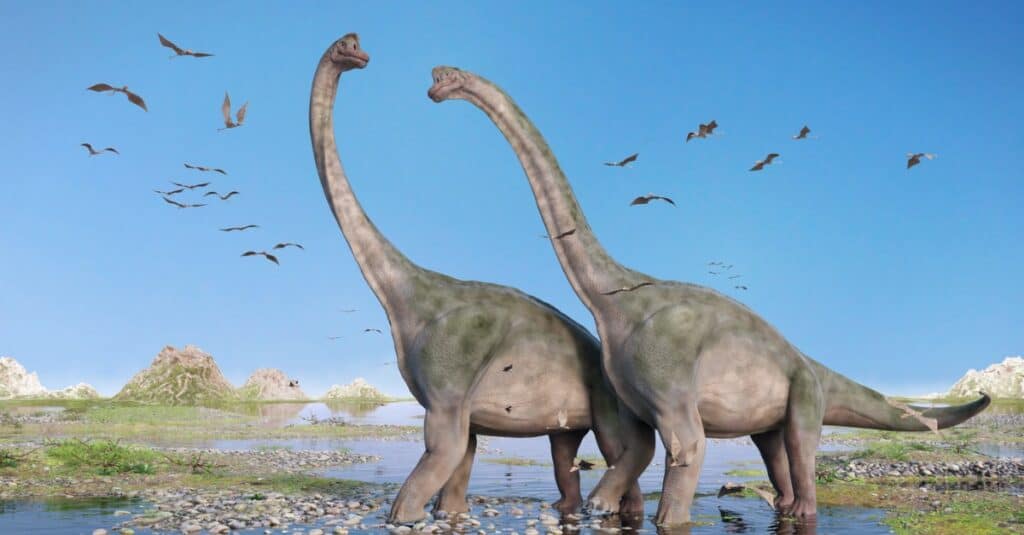 brontosaurus