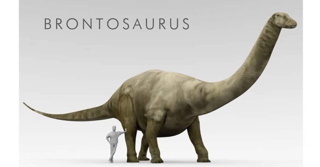 Brontosaurus with Human