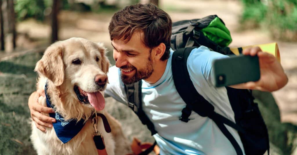 Are Dogs Allowed in Yellowstone National Park