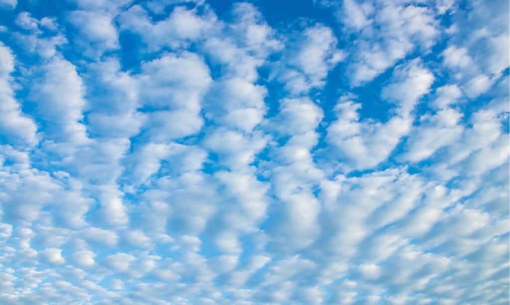 Types of Clouds - Cirrocumulus