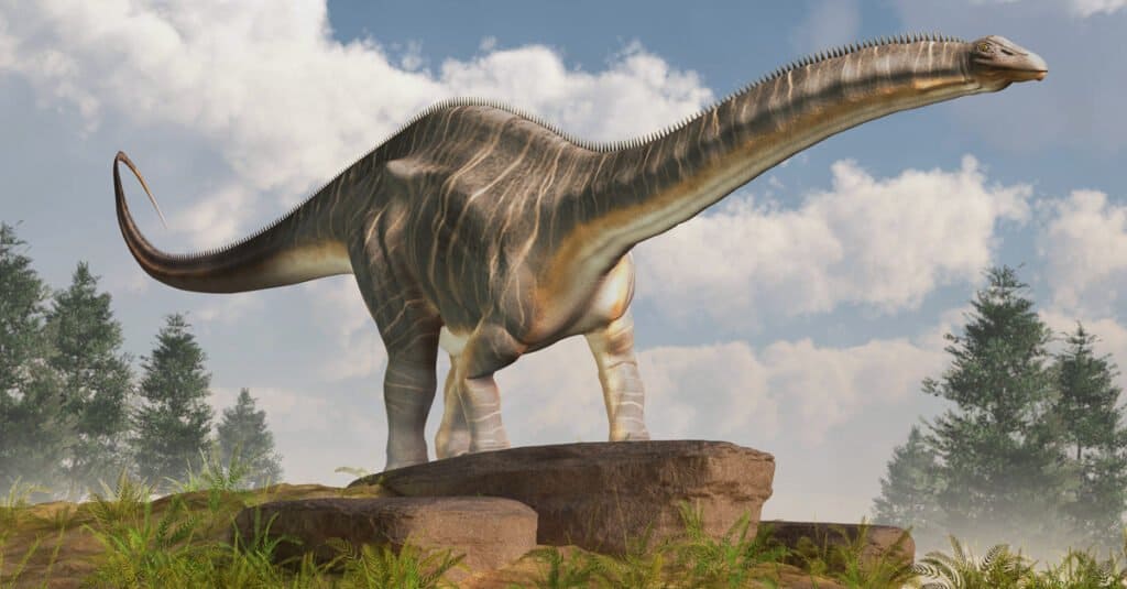 The apatosaurus reached lengths of up to 75 feet!