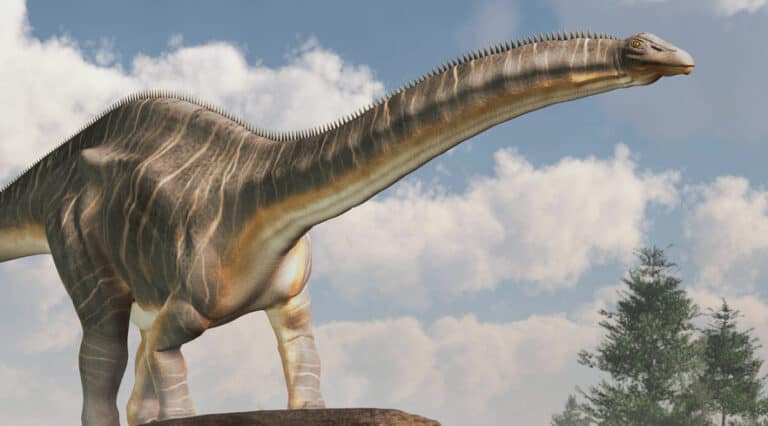 apatosaurus vs brontosaurus