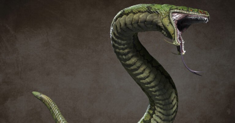 Anaconda vs. Crocodile - Predator Snake Animation