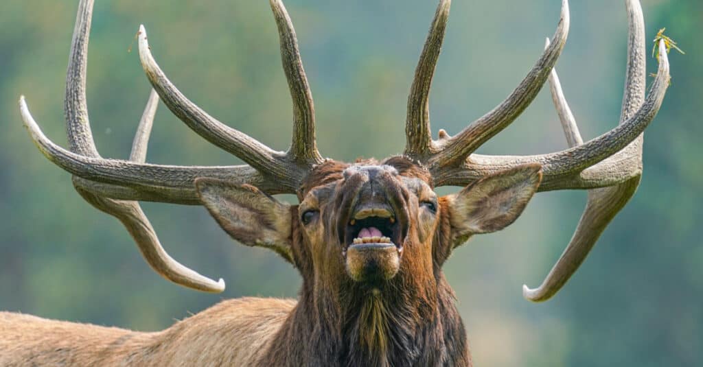 Yellowstone Weather in September