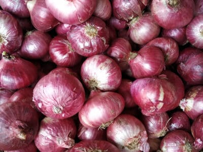 A Are Onions Poisonous to Dogs or Cats?