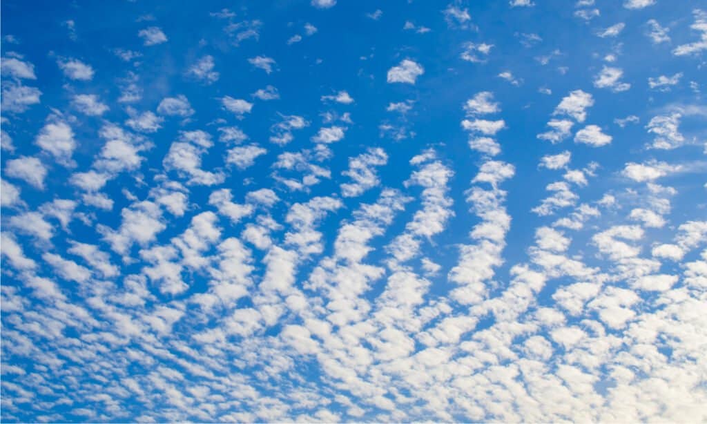 Types of Clouds - Altocumulus clouds