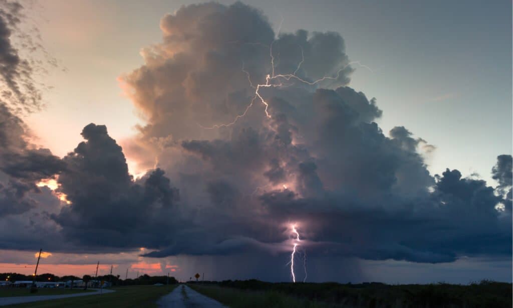 Types of Lightning  Royal Meteorological Society