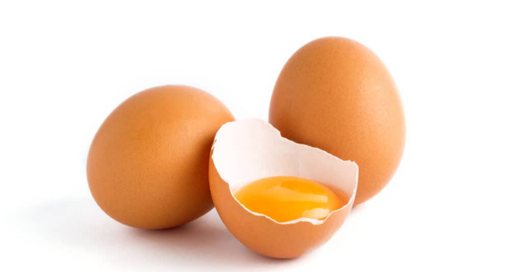 Duck Eggs Vs Chicken Eggs- Chicken Eggs