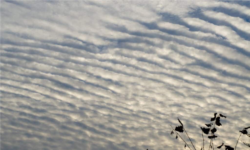 Types of Clouds - altostratus cloud