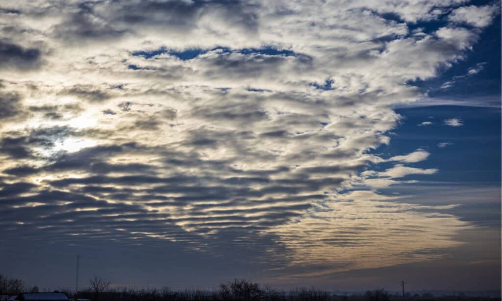 Types of Clouds - Stratus