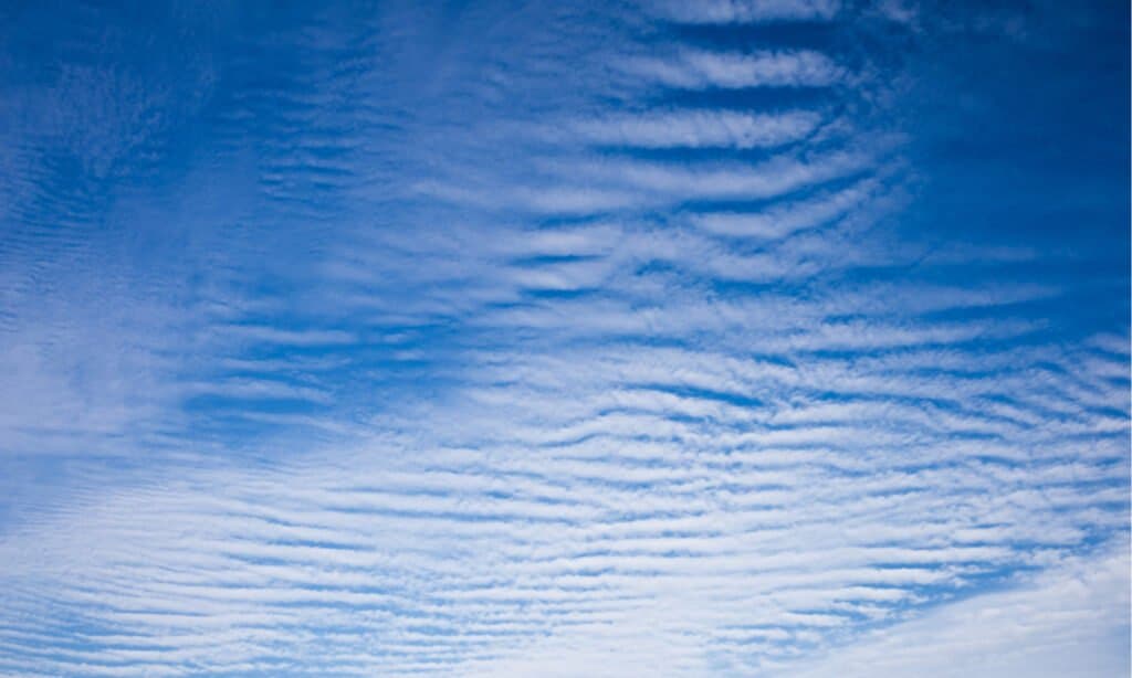 Types of Clouds - Cirrostratus clouds