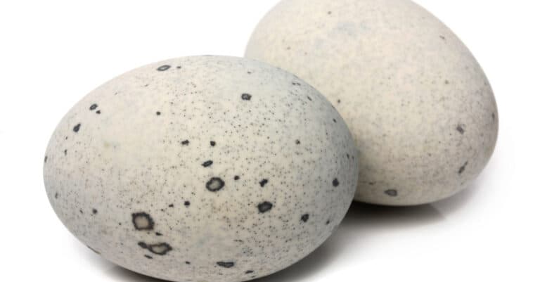 Duck Eggs vs Chicken eggs- Duck Eggs