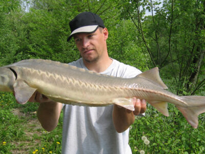 A Sea Monsters! The 10 Biggest Trophy Fish Ever Caught in Minnesota