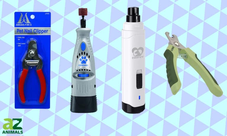 Pet Nail Trimmer