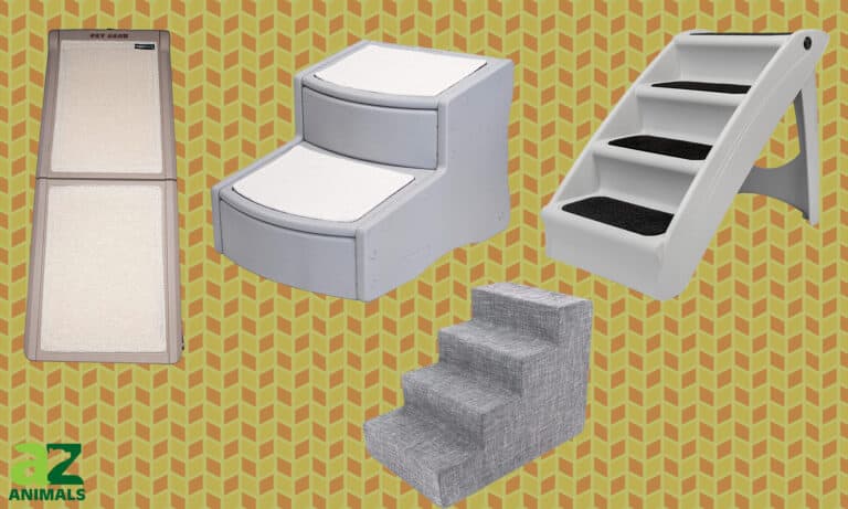 Pet Stairs
