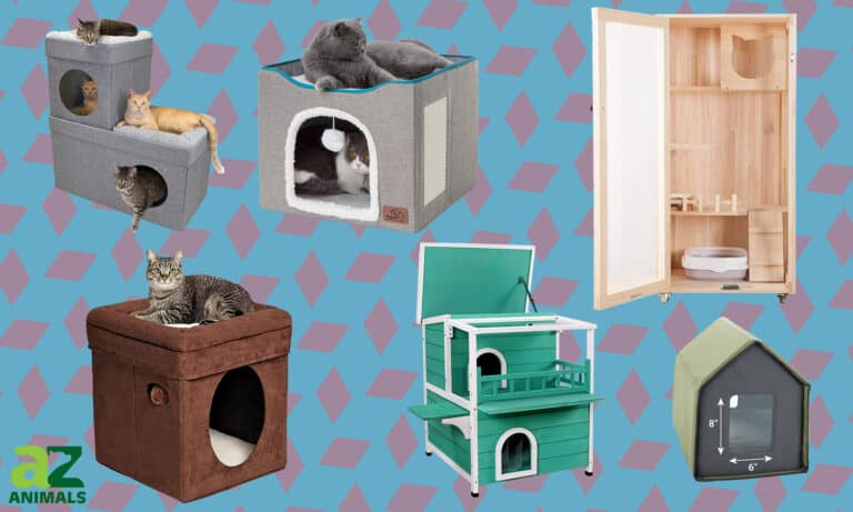 Indoor Cat House