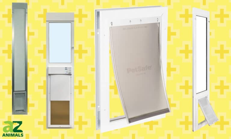 Dog Door for Sliding Glass Doors
