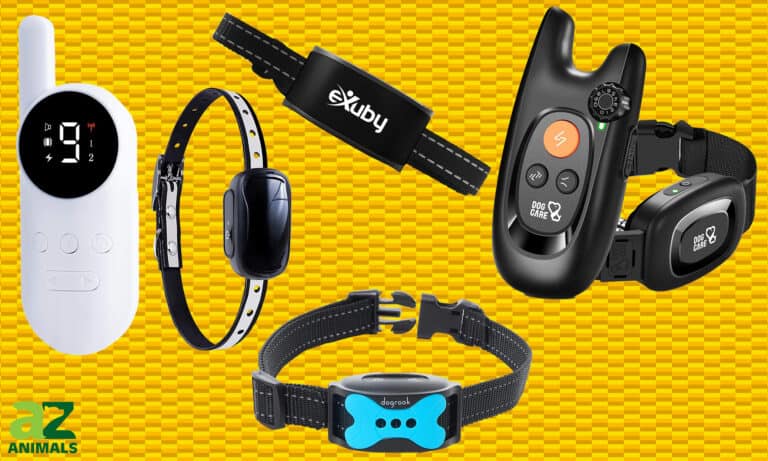 Vibrating Dog Collar