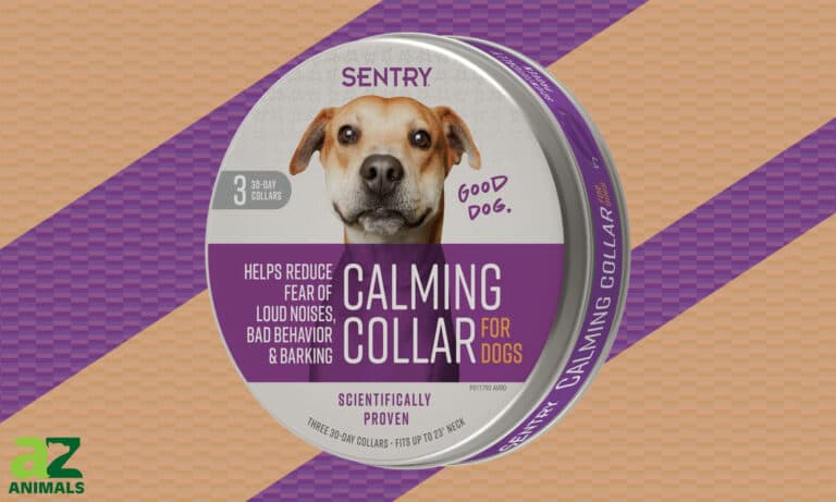 Sentry Calming Collar for Dogs