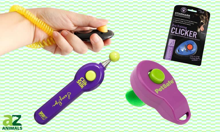 Dog Clicker