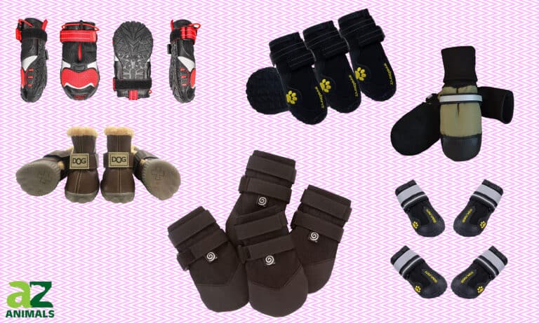 Dog Shoes For Winter