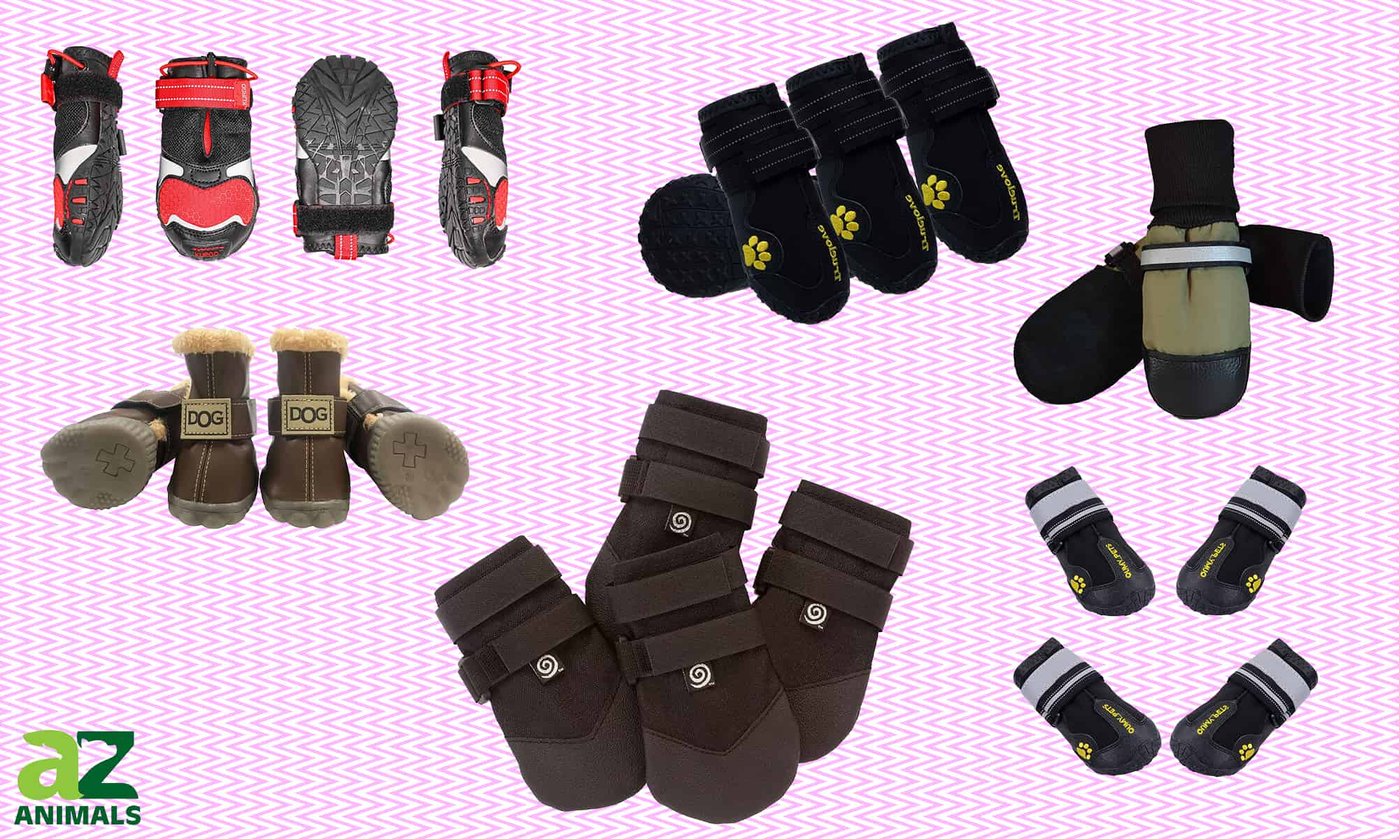 the-best-dog-shoes-for-winter-reviewed-and-ranked-a-z-animals