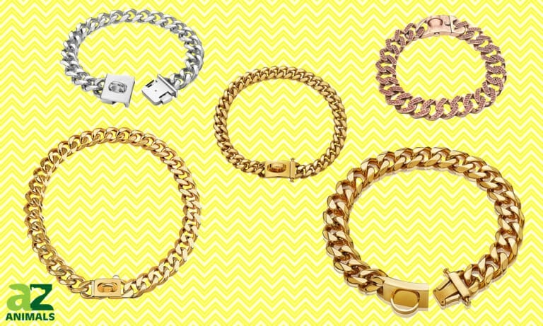Cuban Link Dog Collars