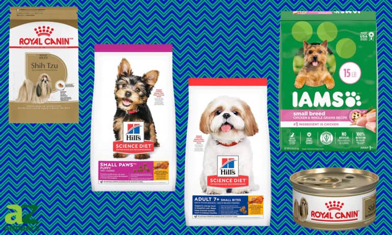 Dog Food for Shih Tzus