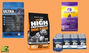 Dog Food for Pitbulls