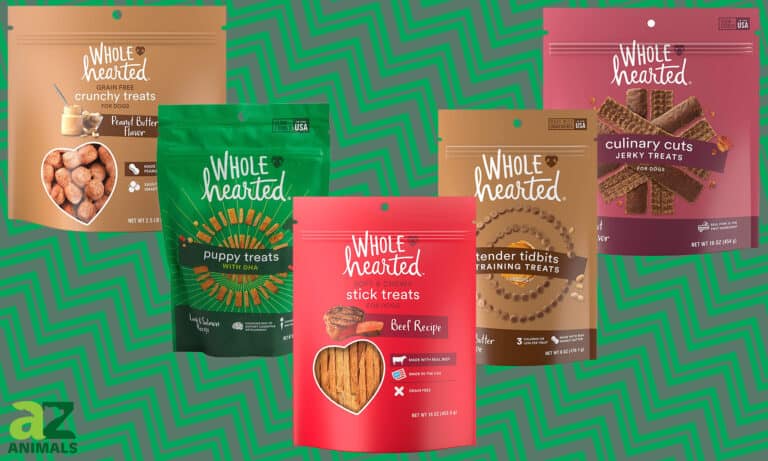 Wholehearted Dog Treats