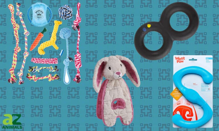 Tug Toys for Dogs
