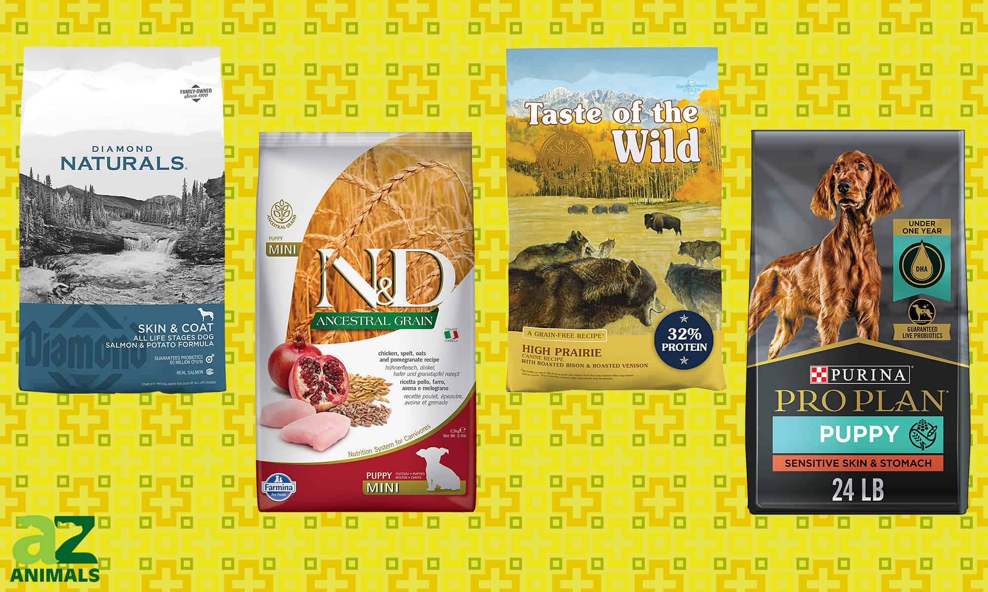 The Best Dog Food for Shedding AZ Animals