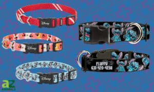 The Best Disney Dog Collars: Reviewed Picture