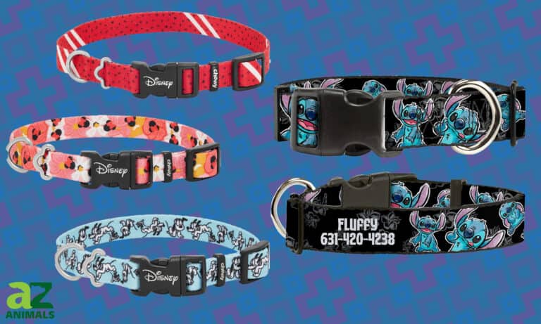 Disney Dog Collars