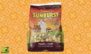 Sunburst Hamster Food Review: Recalls, Pros & Cons, and More Picture