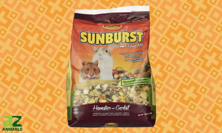 Sunburst Hamster Food