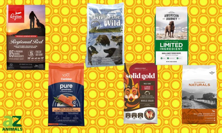 Large Breed Dog Food