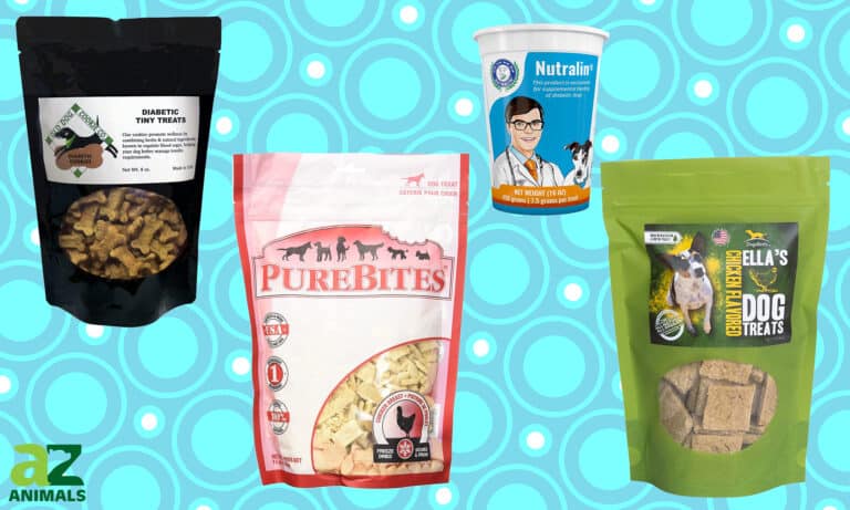 Treats For Diabetic Dogs