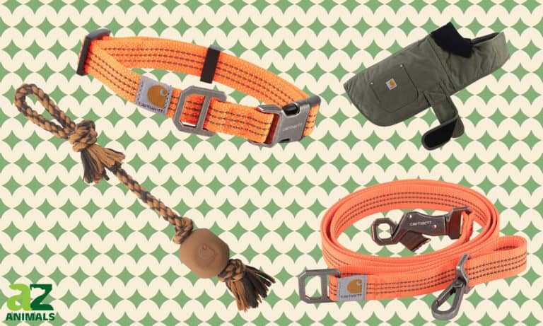 Carhartt Dog Products