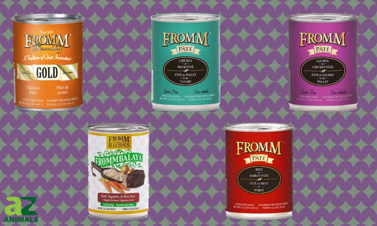 Fromm Canned Dog Food